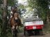 utility vehicles diesel e benzina
