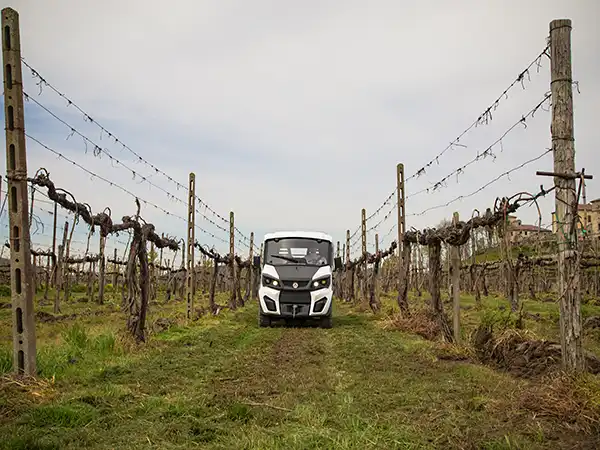 Veicoli elettrici per vigneti