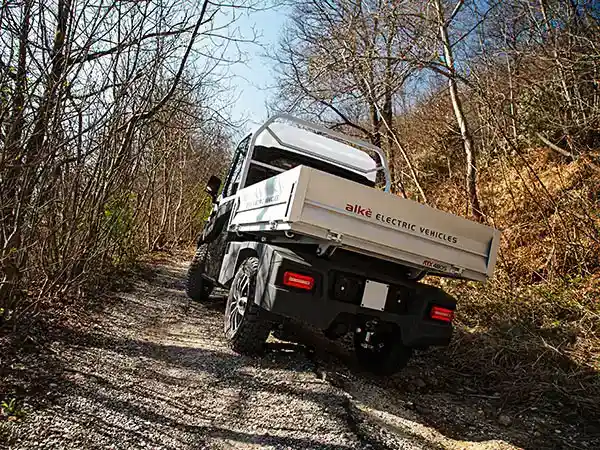 Veicolo fuoristrada 4WD