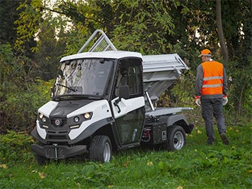 Pick-up con cassone ribaltabile