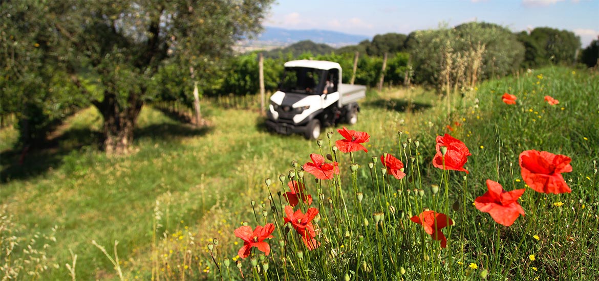 Veicolo da lavoro ecologico Alke'