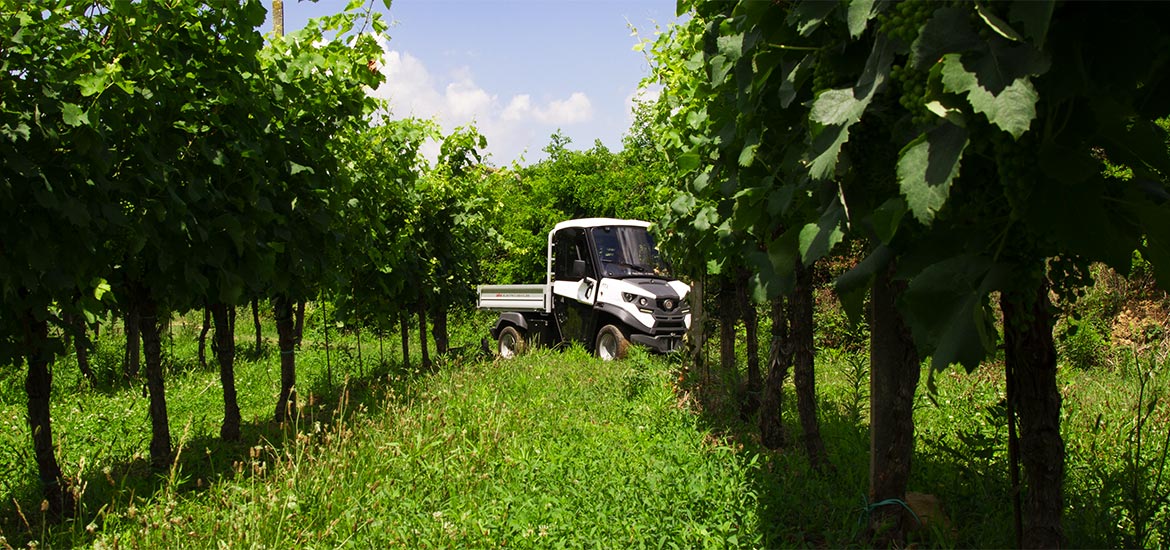 Veicoli elettrici per vigneti biologici e giardini botanici Alke'