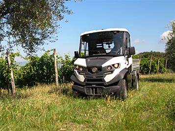 Golf car azienda agricola