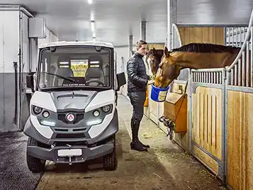 Golf Cart e veicoli elettrici per parchi zoologici
