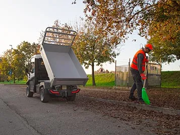 Veicolo elettrico cassone ribaltabile