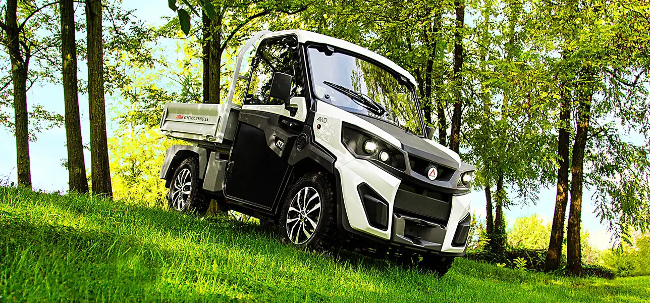 Veicolo elettrico trazione integrale 4WD