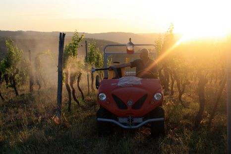 Elektrotransporter beim Einsatz im Weingut